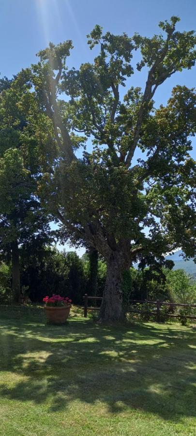 Hotel Poggio Al Sole Fiesole Exteriér fotografie