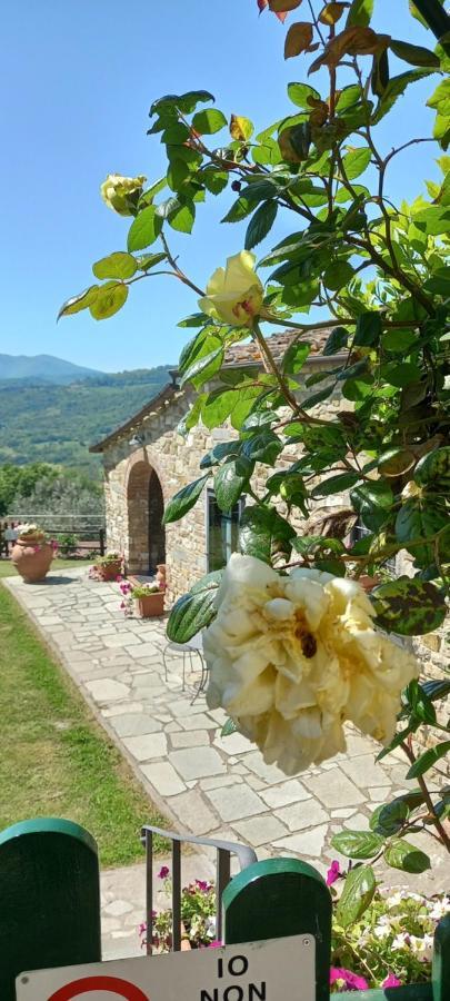 Hotel Poggio Al Sole Fiesole Exteriér fotografie
