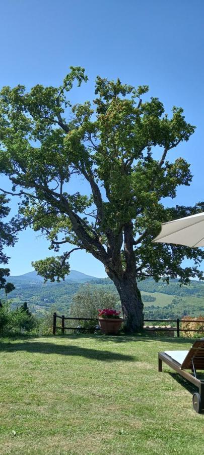 Hotel Poggio Al Sole Fiesole Exteriér fotografie